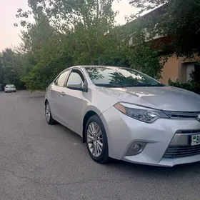 Toyota Corolla 2016