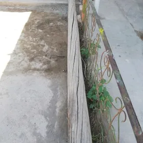 Stalba yagac