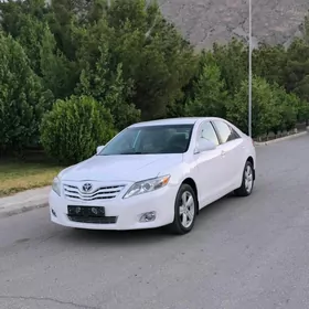 Toyota Camry 2010