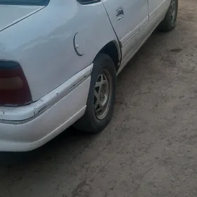 Opel Vectra 1992