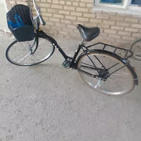 tigir 27lyk