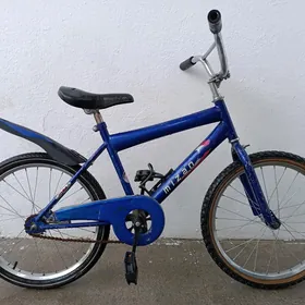 Tigir 20