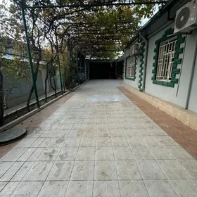 Ak Altyn Dom Arenda