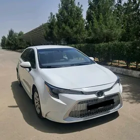 Toyota Corolla 2020