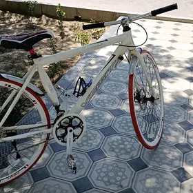 sportiwny welosiped