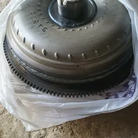 Gazan elentra forte
