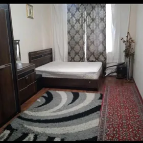 ARENDA JAY MIR8 2 KOM