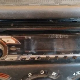 pioneer arginal