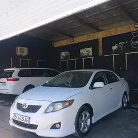 Toyota Corolla 2010