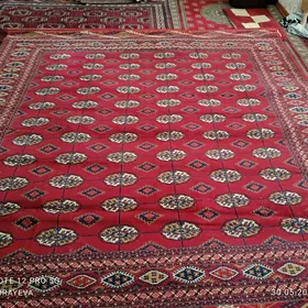 Haly iran 3×3