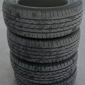 NEXEN TEKER
