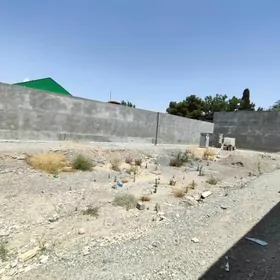 Şor Garadamak 6 Sotok
