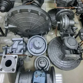 Selpe Gaz 2025