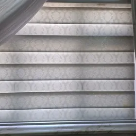 źalÿuz zebra