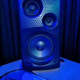 Studio kalonka