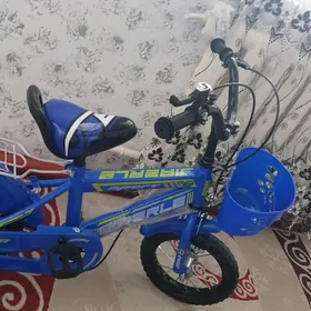 çaga tigir