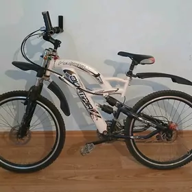 Olimpiya velosiped (5 yuzlik)
