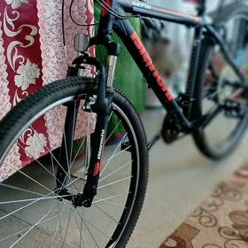 welosiped bianchi.
