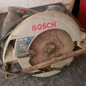 borsh dayra