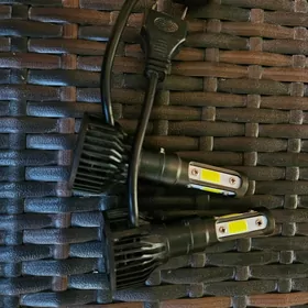 led çyra