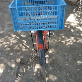 27 yaponka