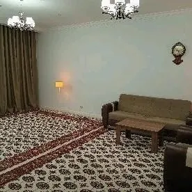 ковры hall