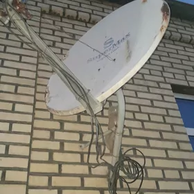 kıçı antena