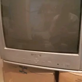 Telewizor