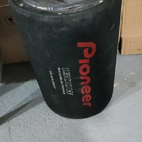 Pioneer bocka