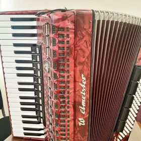 Akkordeon weltmeister meteor