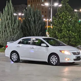 Toyota Corolla 2010