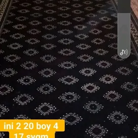 haly gokje