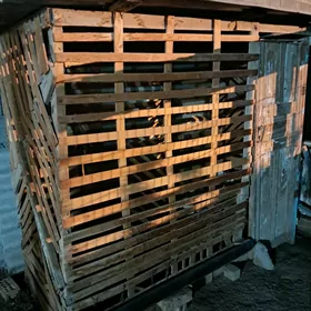ketek