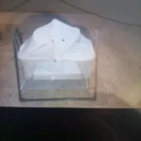 çaga krawat