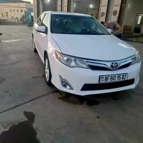 Toyota Camry 2013
