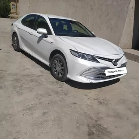 Toyota Camry 2019