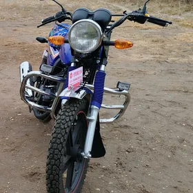Fekon FK150-8G 2024