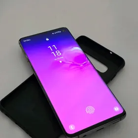 s10