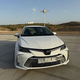 Toyota Corolla 2021