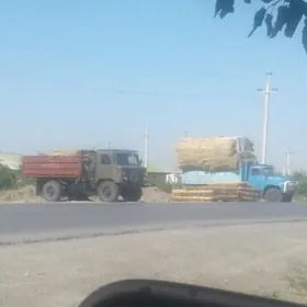 Gamyş. (Kamyş)