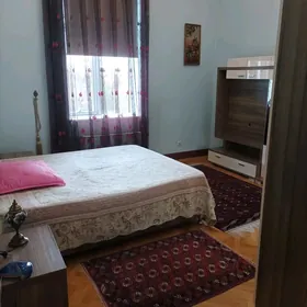 lenina Şayoly elitka