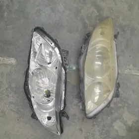 fara haliji