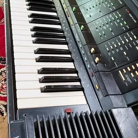 YAMAHA PSR 6300
