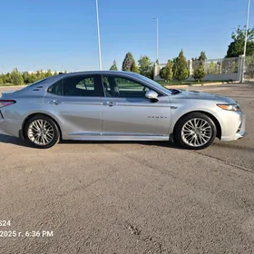 Toyota Camry 2019