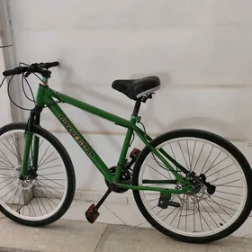 turkmenistan tigir