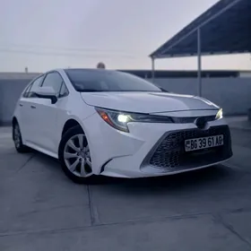 Toyota Corolla 2020