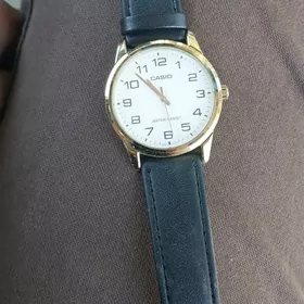 casio sagat