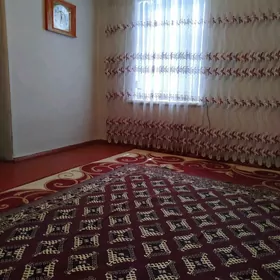 SATLYK JAÝ JANGADA