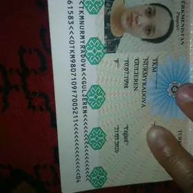pasport