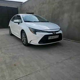 Toyota Corolla 2021